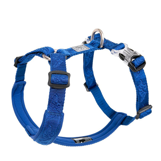 Trail Runner No Pull Dog Harness