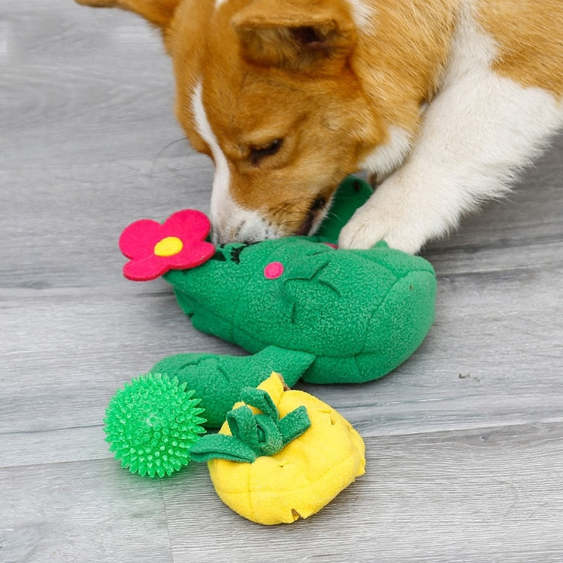 Cactus Dog Snuffle Toys