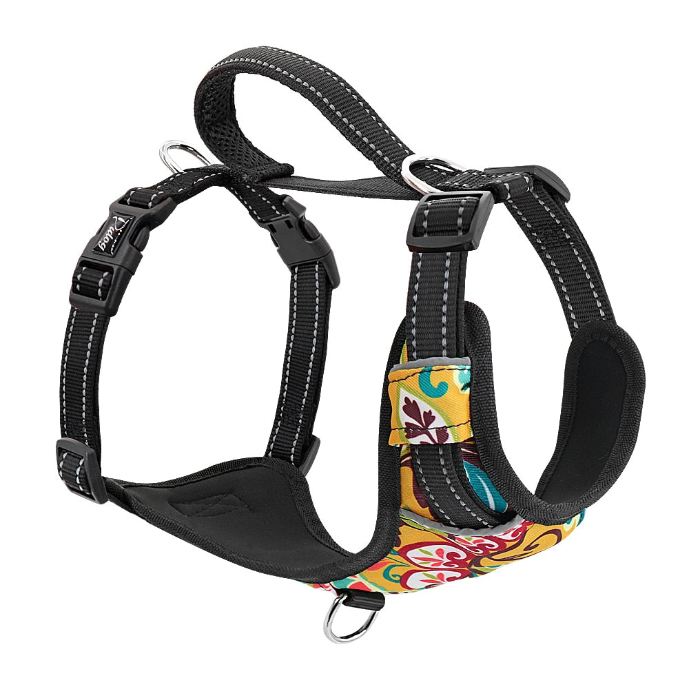 Quick Control Nylon Dog Harness