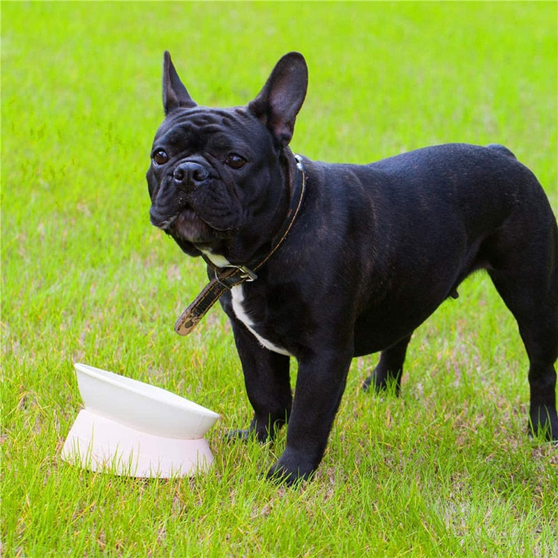 Resin Raised Tilted Dog Bowl