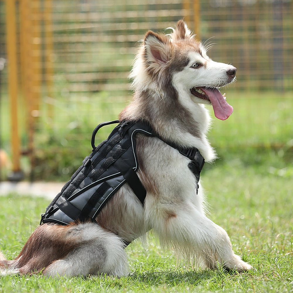 Military Tactical Working Dog Harness