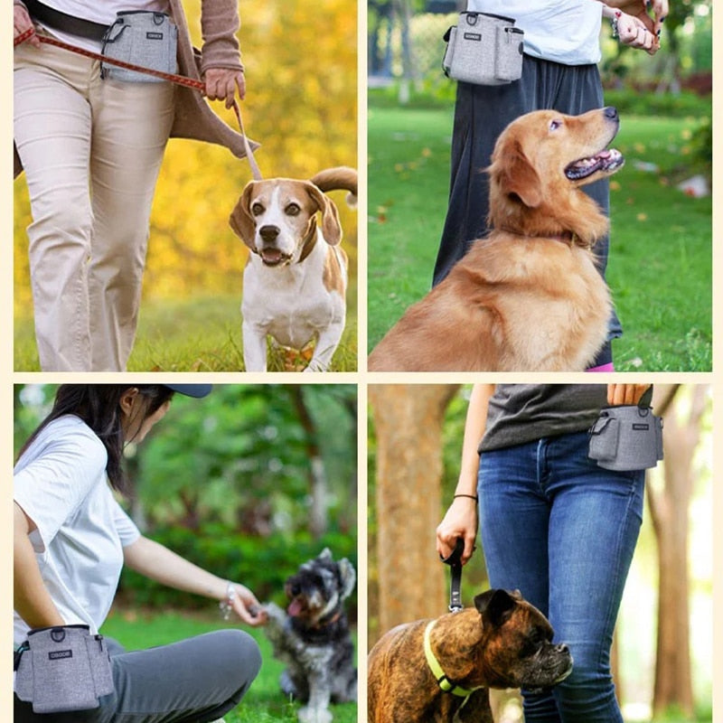 2 In 1 Adjustable Waistband Dog Treat Bag