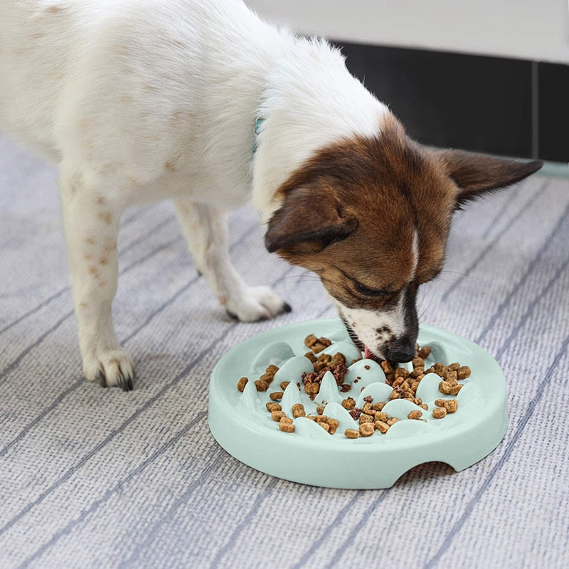 Interactive Melamine Pet Slow Feeder