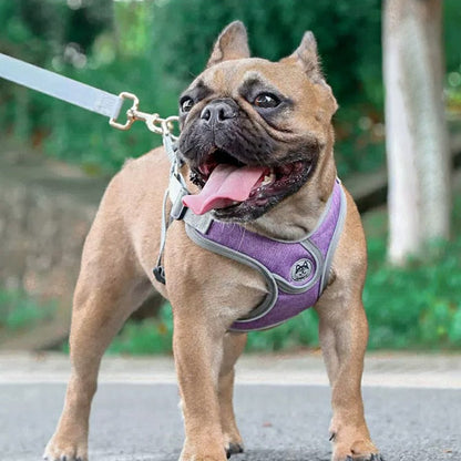 X Shaped Design No Pull Dog Harness