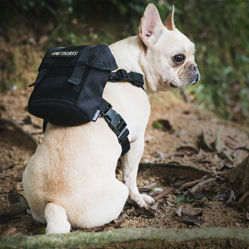 K9 Backpack Small Dog Harness