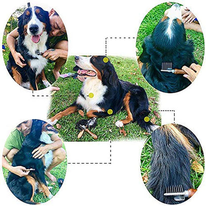 Professional Stainless Steel Dog Brush