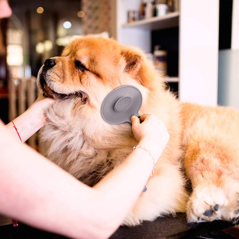 Efficient Self Cleaning Slicker Pet Brush