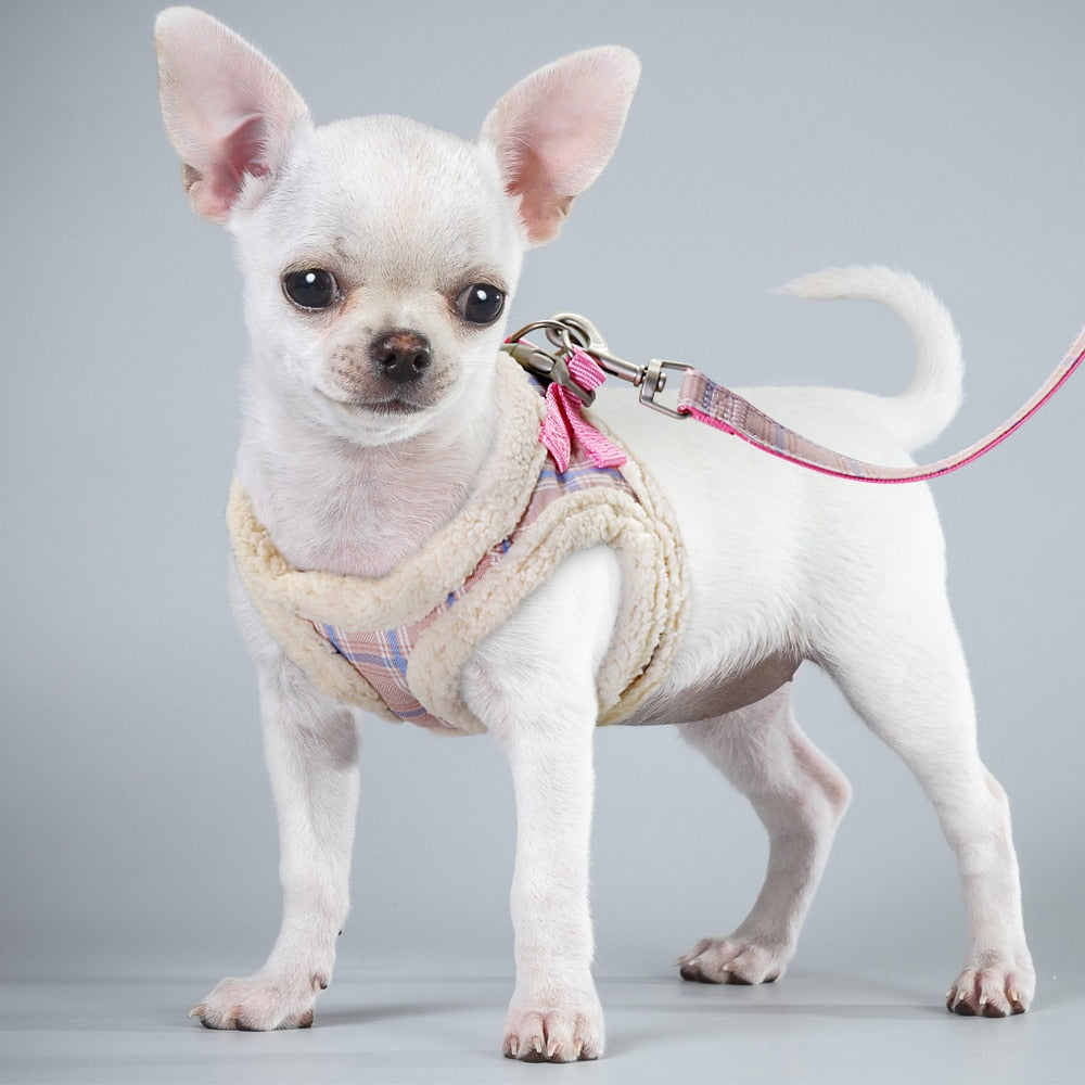 Cute Adjustable Walking Cat Harness