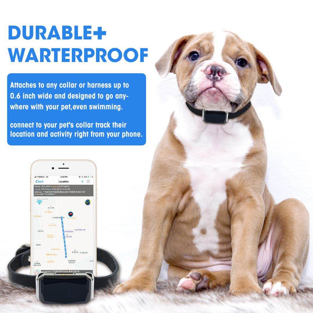 Waterproof Black Collar GPS Trackers