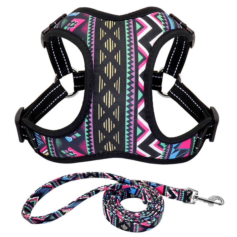 Nylon No Pull Dog Harnesses Set