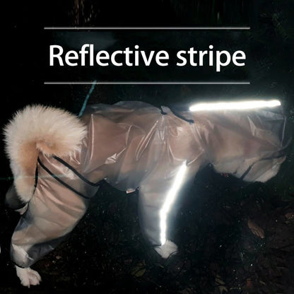 Transparent Dog Raincoat