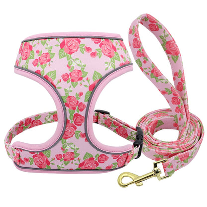 Fashion Reflective Dog Harness Set