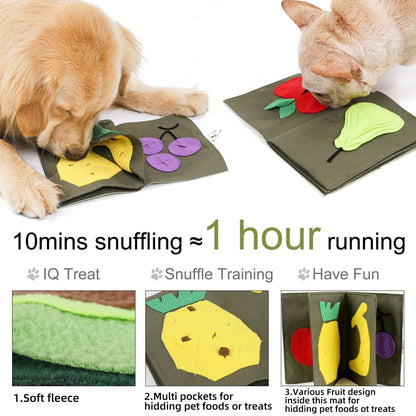 Fruit Book Pet Snuffle Toy