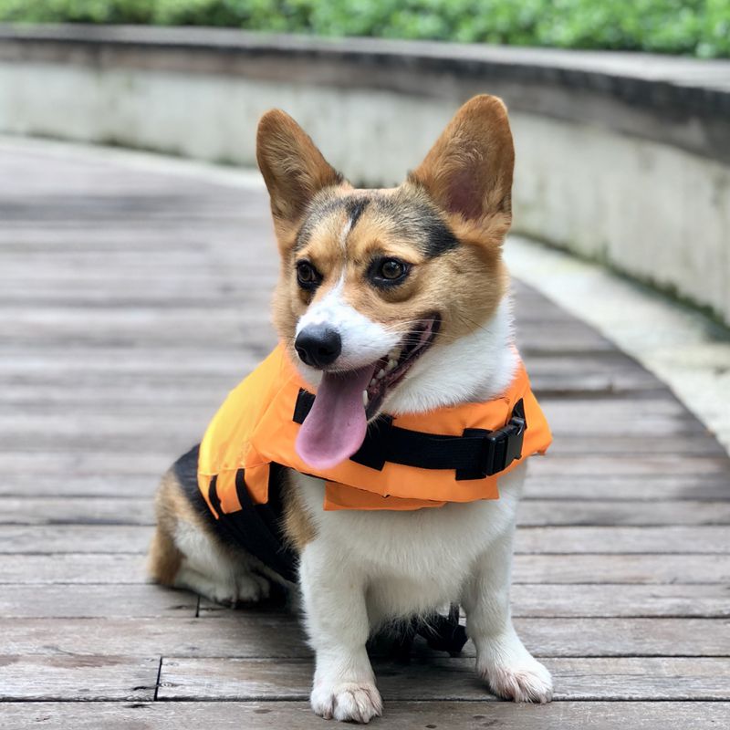 Summer Shark Dog Swimming Life Vest