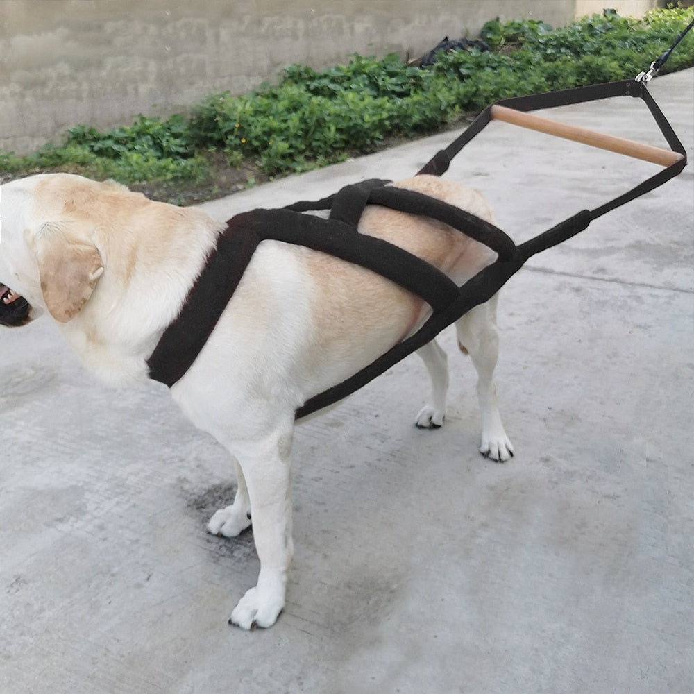 Durable Big Dog Weight Pulling Harness