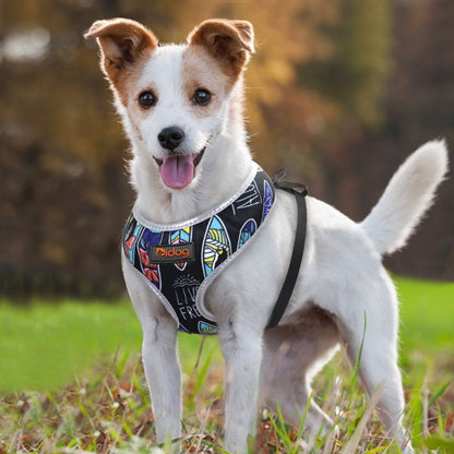 Reflective Mesh Nylon Dog Harness