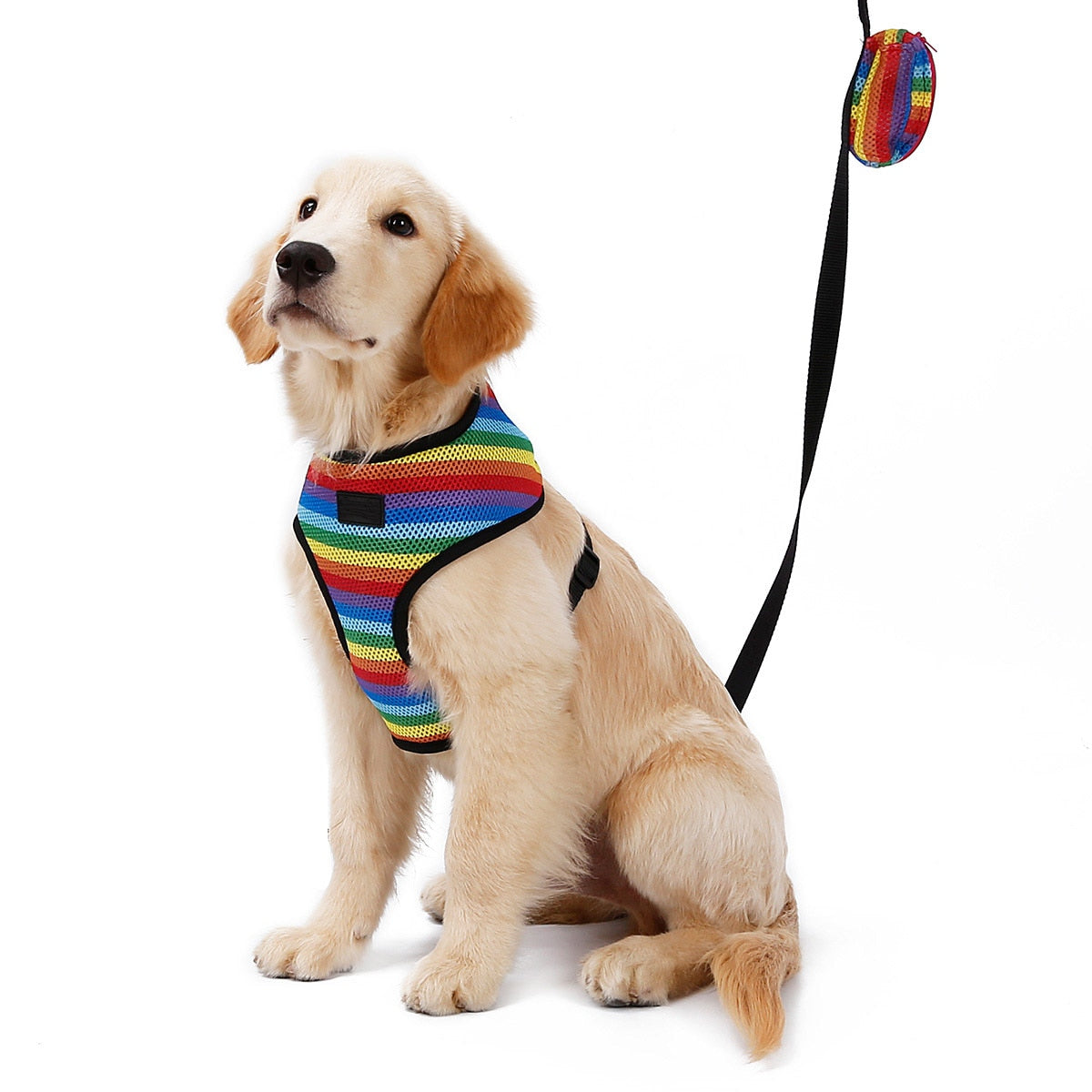 Rainbow Pet Chest Walking Vest