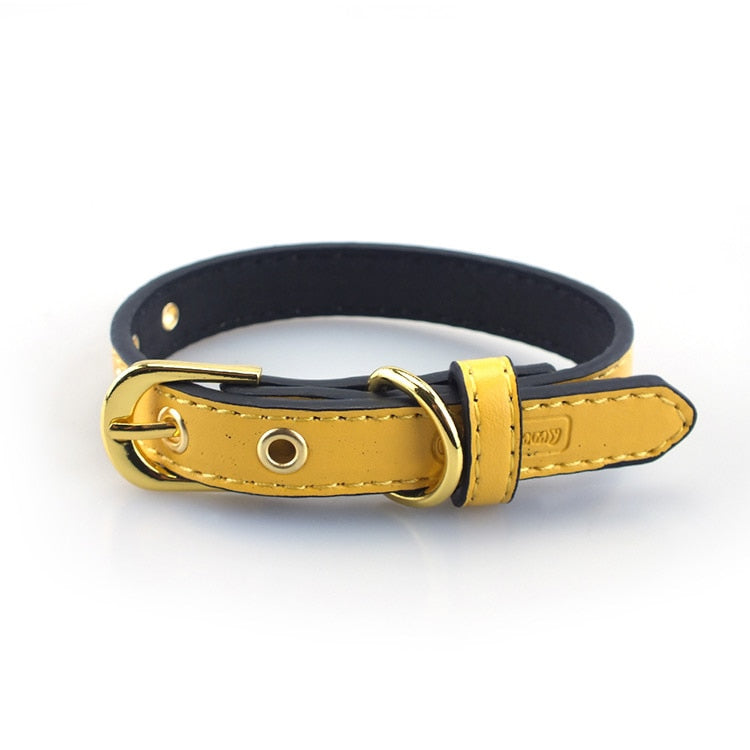 High End Gold Button Pet Collar