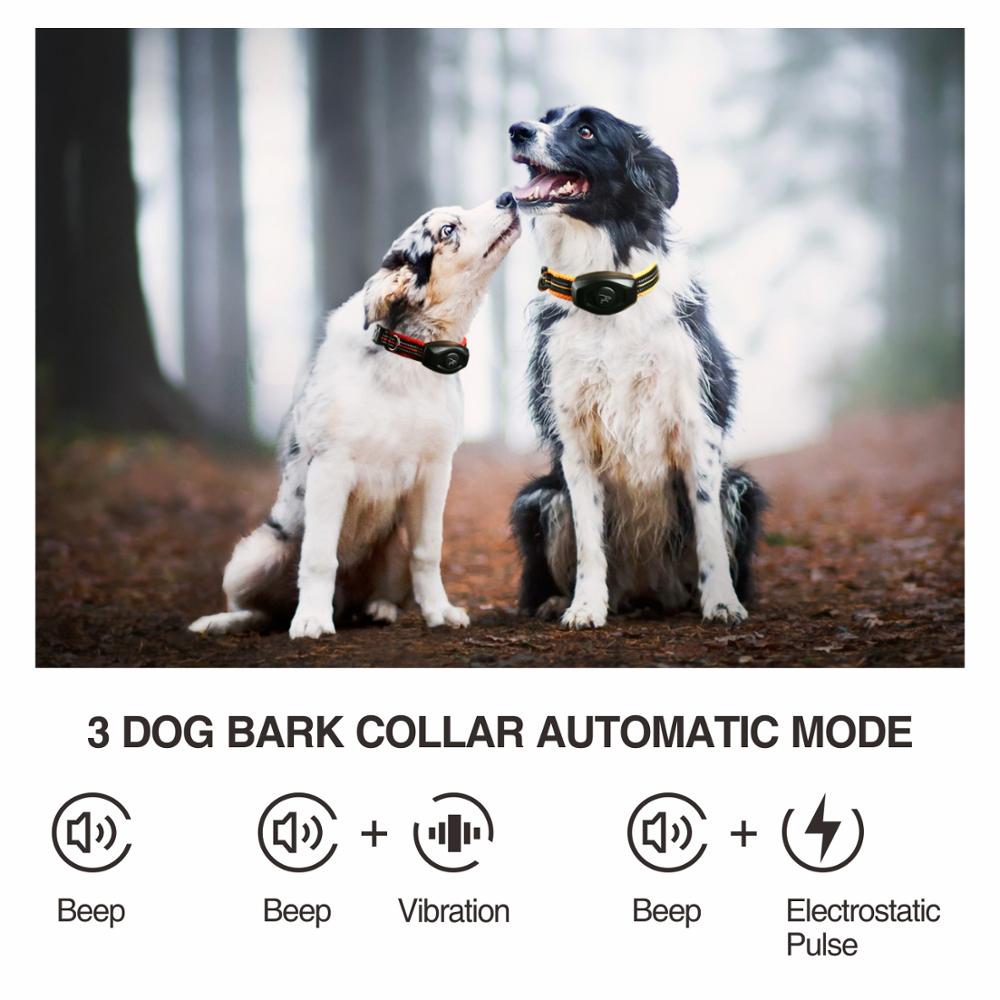 400M 2 In 1 Dog Training Collar