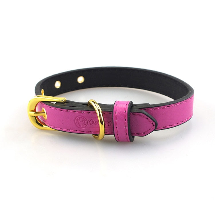 High End Gold Button Pet Collar