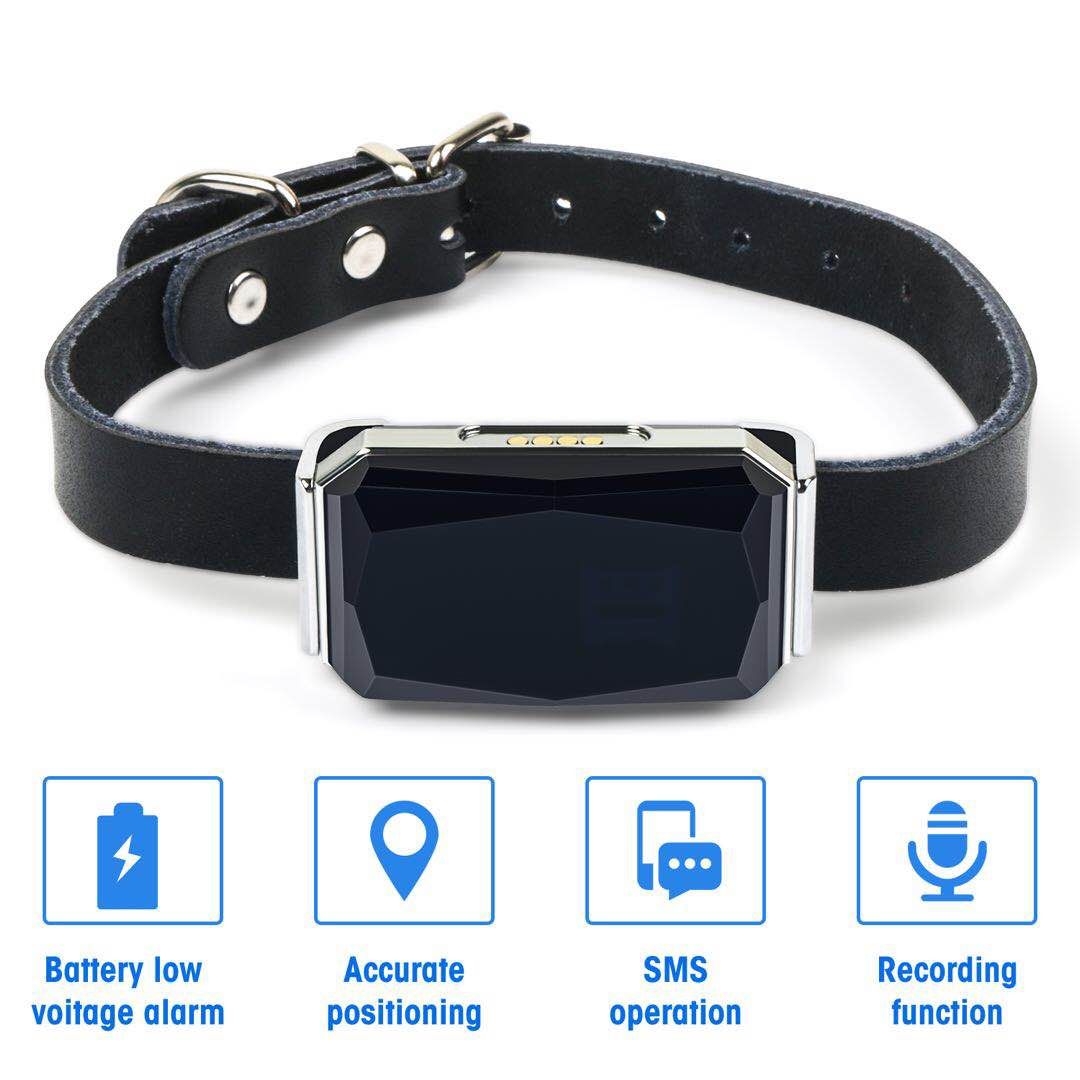 Waterproof Black Collar GPS Trackers