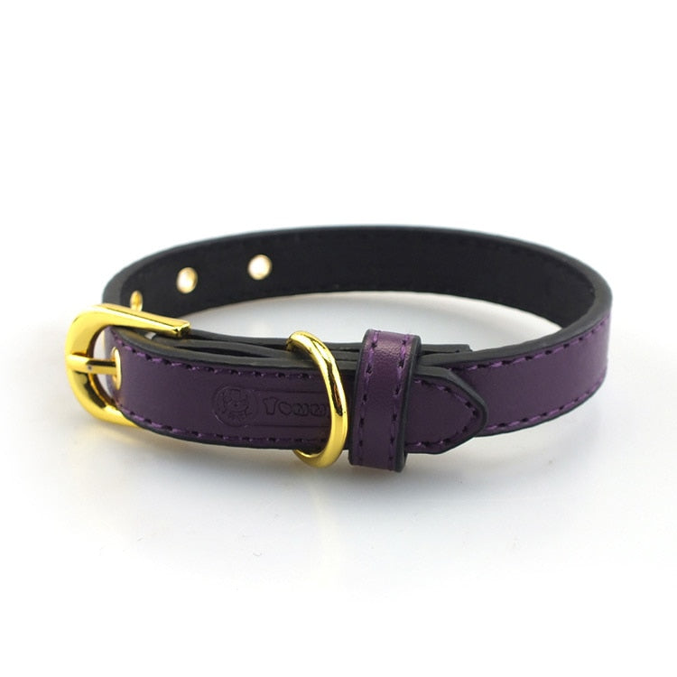 High End Gold Button Pet Collar