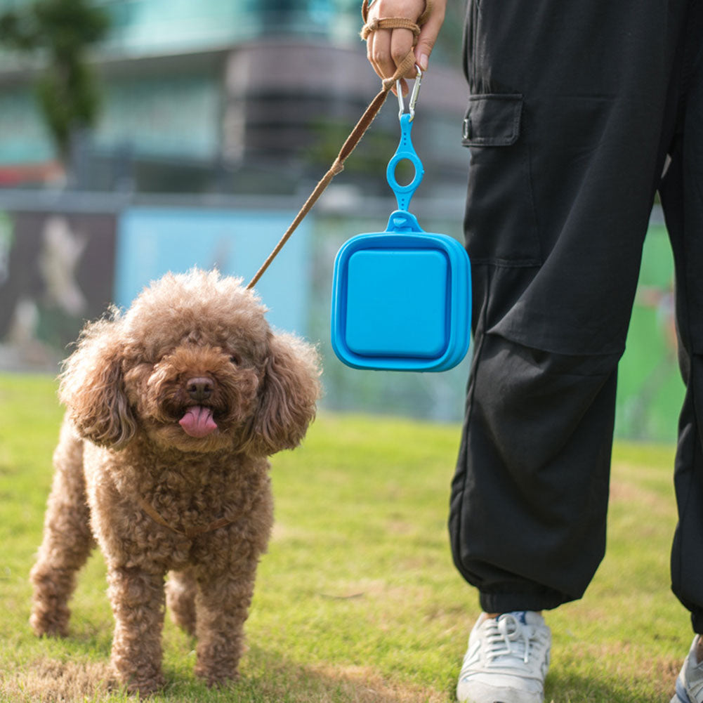 Foldable Outdoor Pet Feeder Bowl