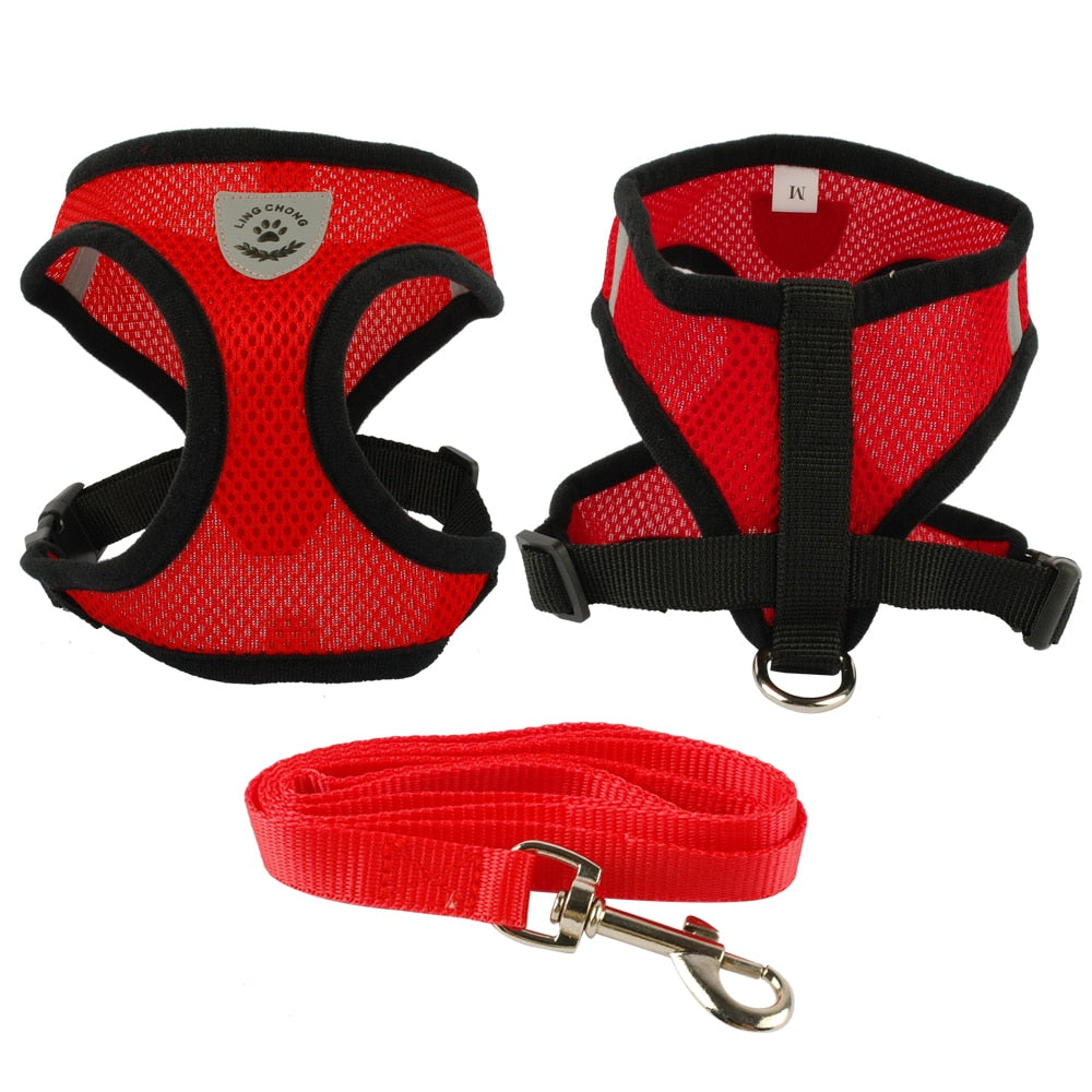 Nickel Plated D Ring Dog Harness