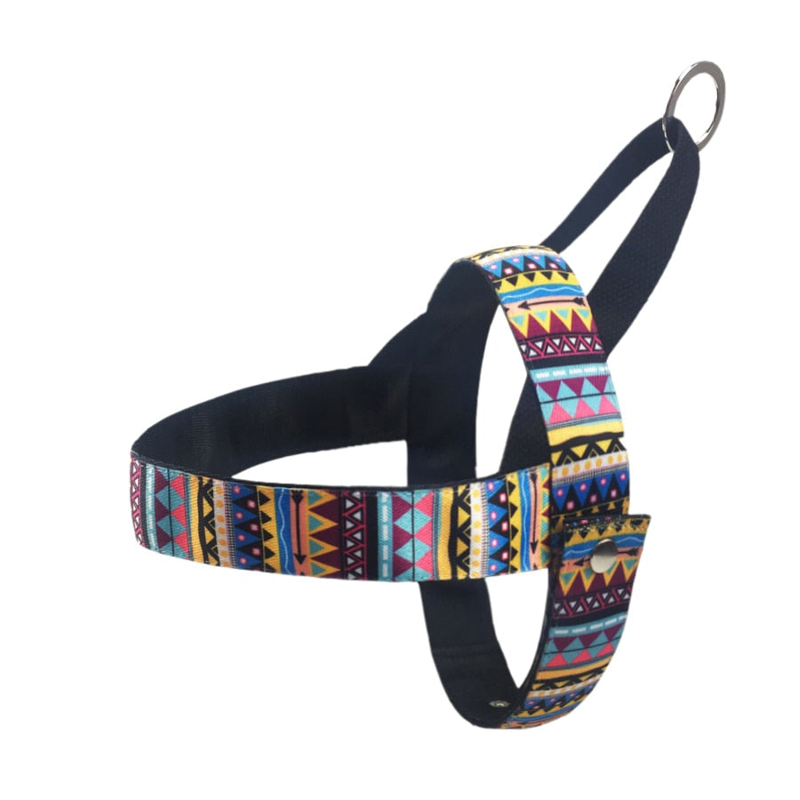 Stylish Pattern No Pull Dog Harness