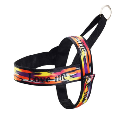 Stylish Pattern No Pull Dog Harness