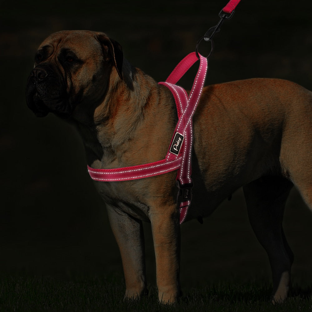 No Pull Reflective Dog Harness Set