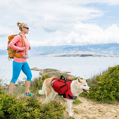 Outdoor Camping Dog BackPack Harness