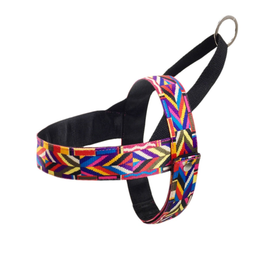 Stylish Pattern No Pull Dog Harness