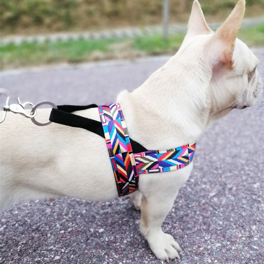 Stylish Pattern No Pull Dog Harness