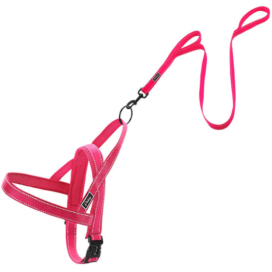 No Pull Reflective Dog Harness Set