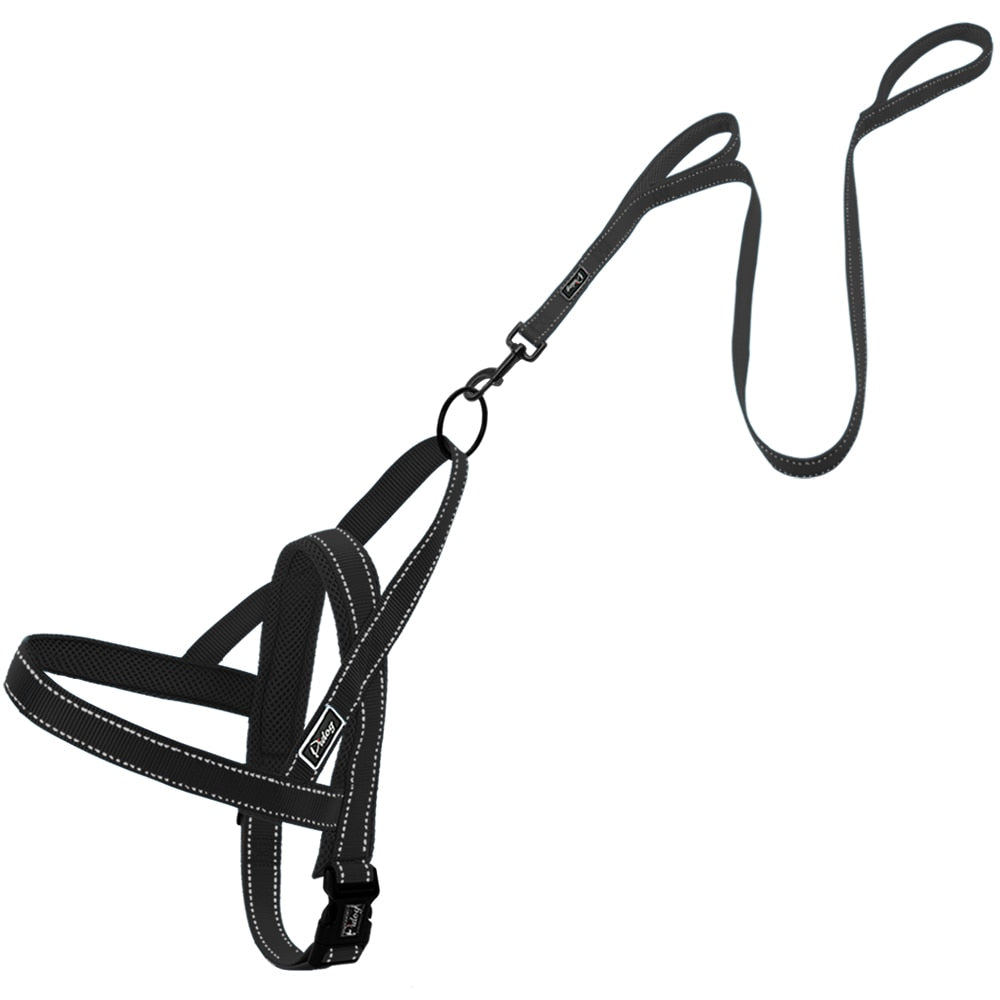 No Pull Reflective Dog Harness Set