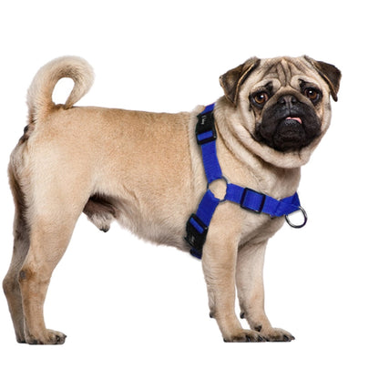 No Pull Nylon Dog Harness