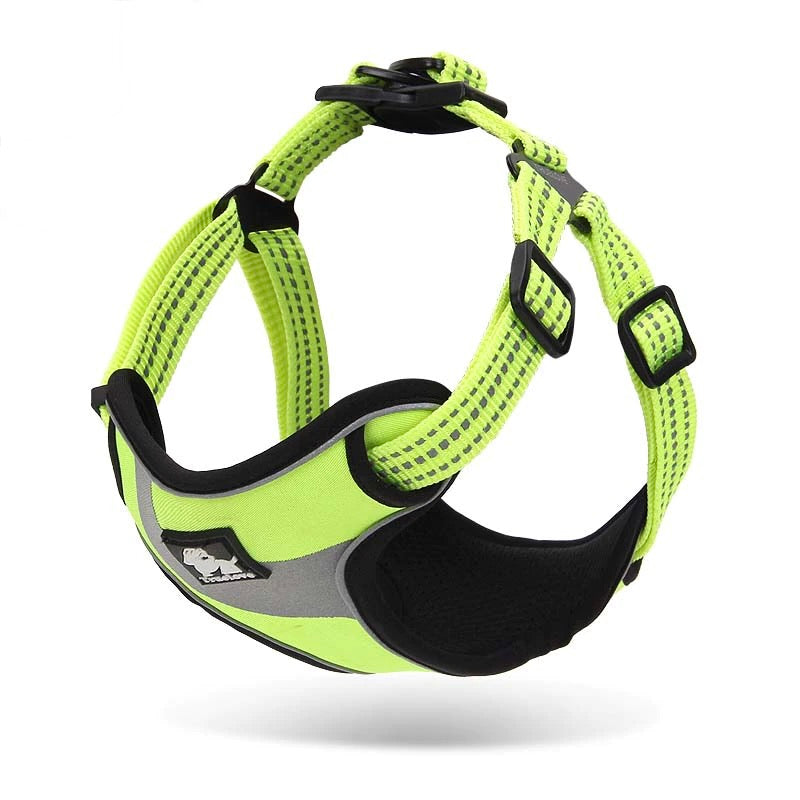 Protective Nylon Walking Dog Harness