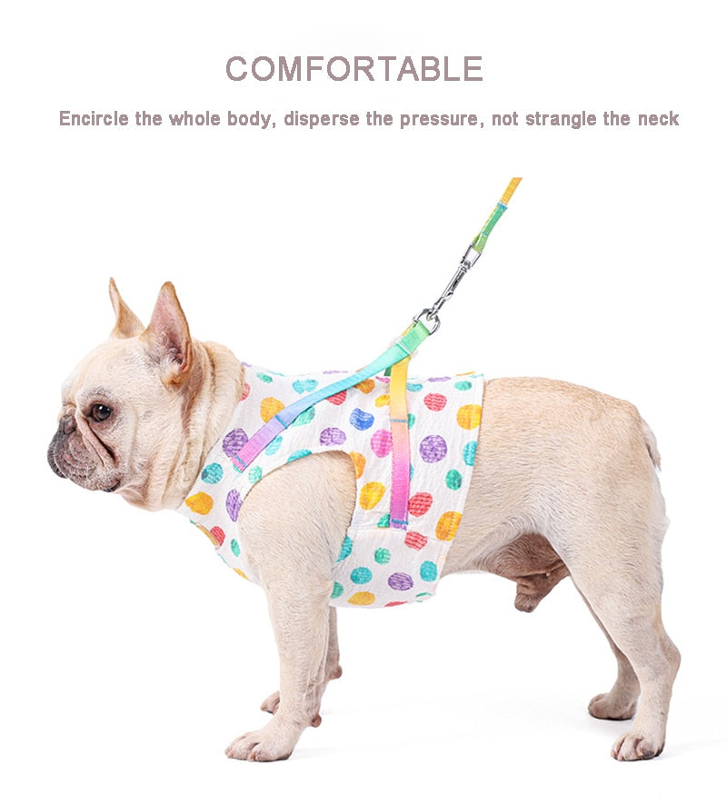 Rainbow Dots Soft Pet Harness