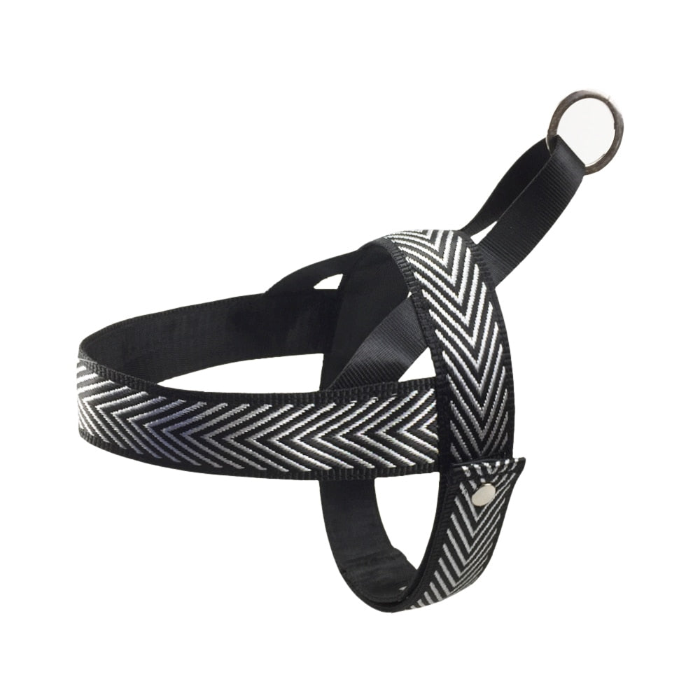 Stylish Pattern No Pull Dog Harness