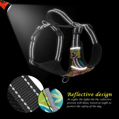 Quick Control Nylon Dog Harness