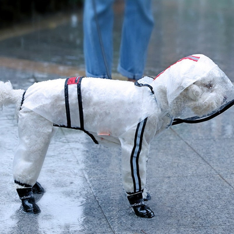 Transparent Dog Raincoat