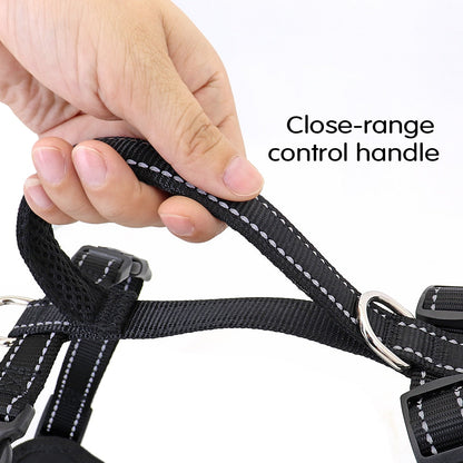 Quick Control Nylon Dog Harness