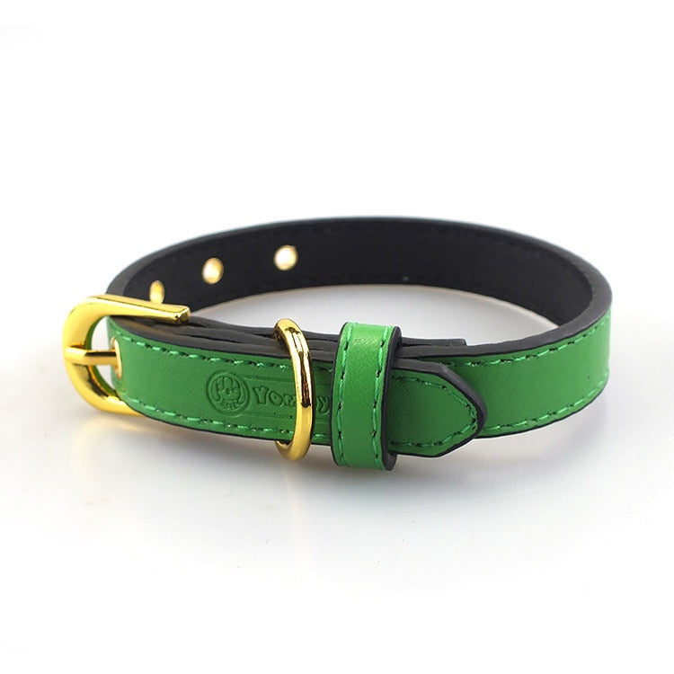 High End Gold Button Pet Collar