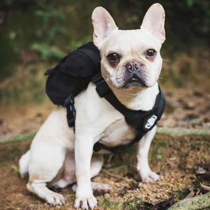 K9 Backpack Small Dog Harness