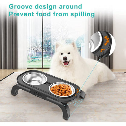 2 Way Angle Elevated Dog Bowl