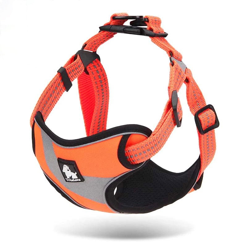 Protective Nylon Walking Dog Harness