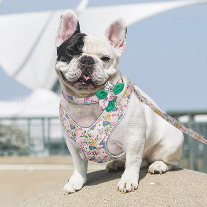 Flower Print Dog Harness Set