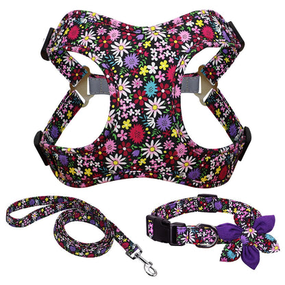 Flower Print Dog Harness Set