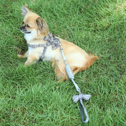 Lovely Bow Soft Pet Harness Set